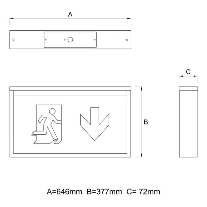 BIG ONE - Emergency signalling luminaire