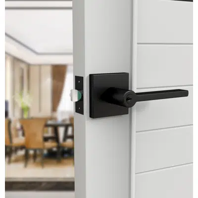 Immagine per Prime Collection Entry Door Levers