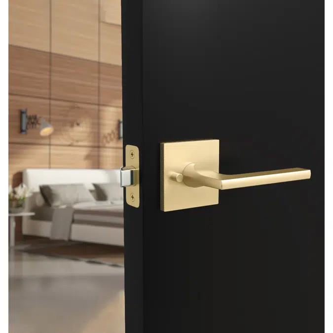 Prime Collection Privacy Door Levers