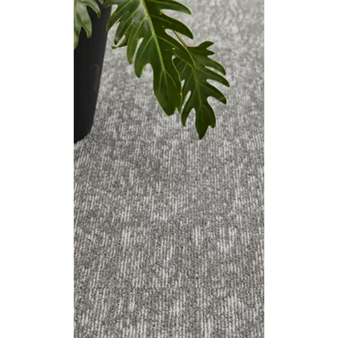 Grain