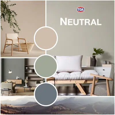 Image pour TOA Paint Color Neutral