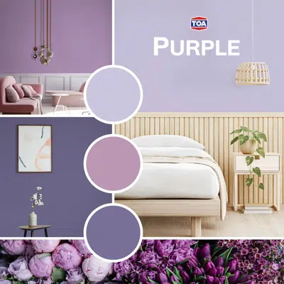 TOA Paint Color Purple için görüntü