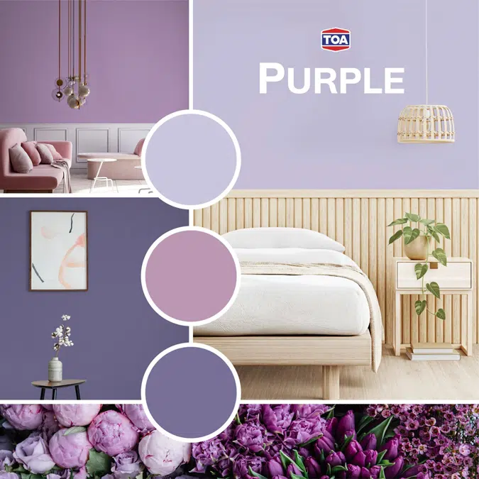 TOA Paint Color Purple