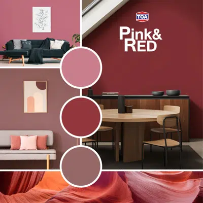 bilde for TOA Paint Color Pink-and-Red