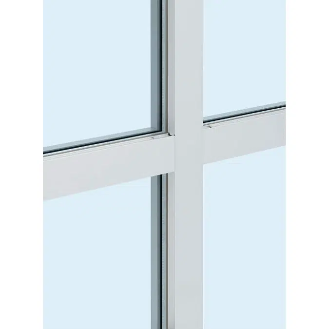 Building entrance products_EXIMA31e_RC frame