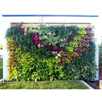 Green wall with buckets图像