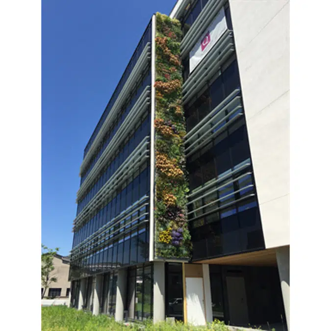 Green wall with buckets