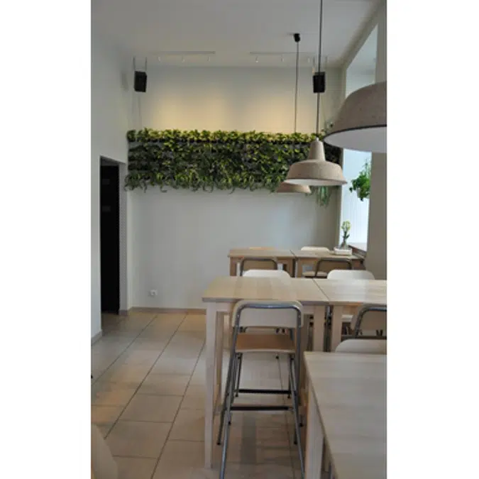 Green wall with buckets