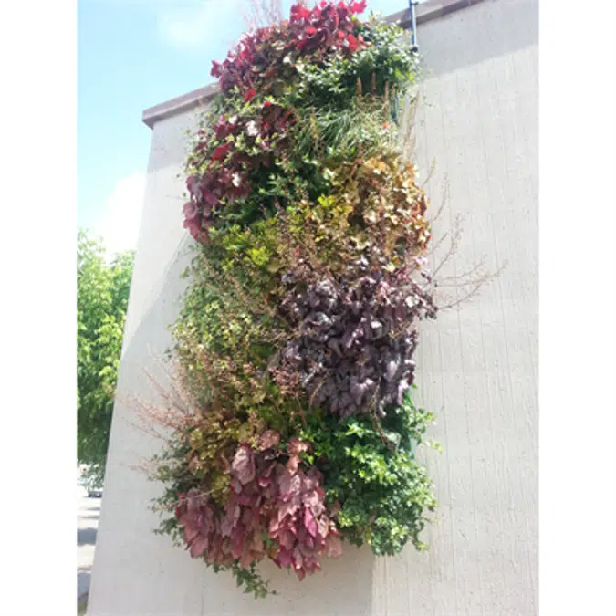 Green Wall