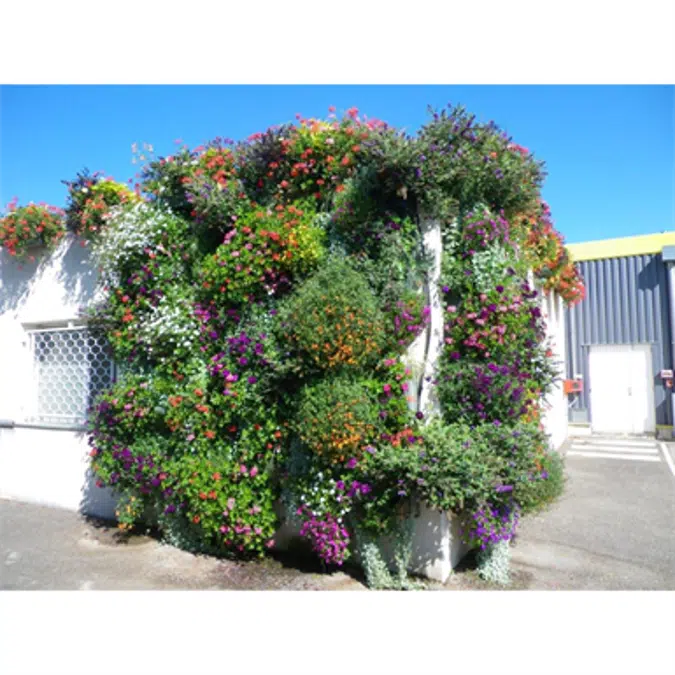 Green Wall