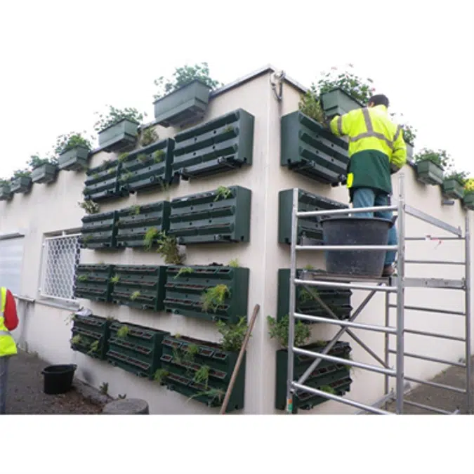 Green Wall