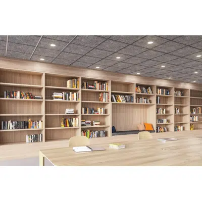 afbeelding voor 1" Drop Molded Acoustic Ceiling Tiles