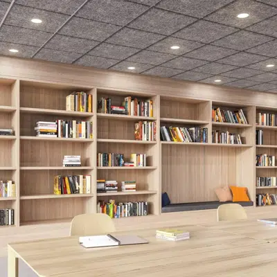 Image for 1" Drop - Molded Acoustic Ceiling Tiles