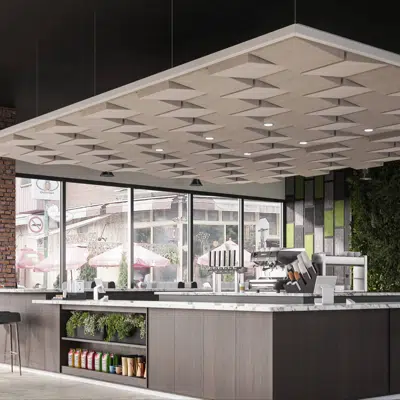 Image for Wedge - Molded Acoustic Ceiling Tiles