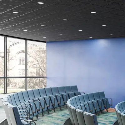 Image for 1/4″ Drop - Molded Acoustic Ceiling Tiles