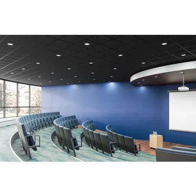 imagen para Flat Molded Acoustic Ceiling Tiles