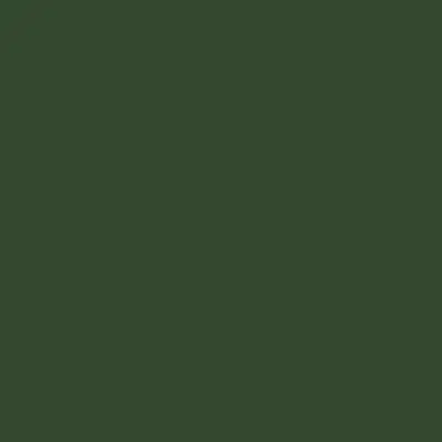 billede til 23 GreenCoat® Colour Coated Steel | Pine Green Colour