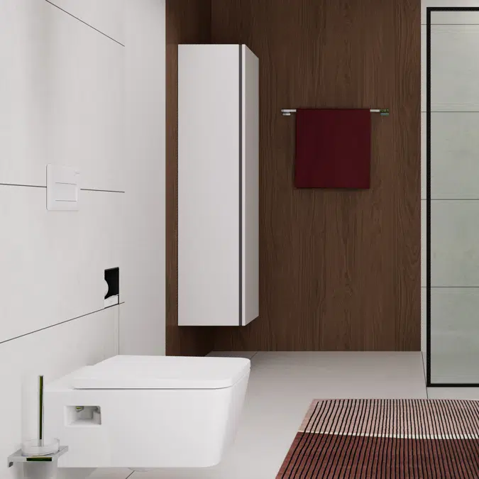 66001XXX iFrame Original Q Flush plate for dual flush