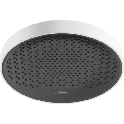 Rainfinity Overhead shower 360 1jet 이미지