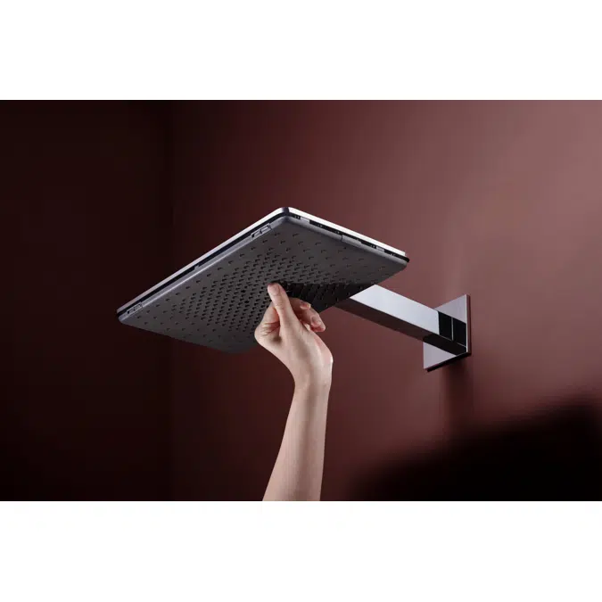 24551USA Raindance Alive Q Overhead shower 210/340 2jet 2.5 GPM with shower arm
