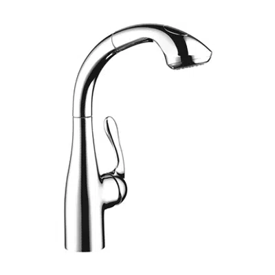 Allegro E Single lever kitchen mixer 290 with pull-out spray 06461000