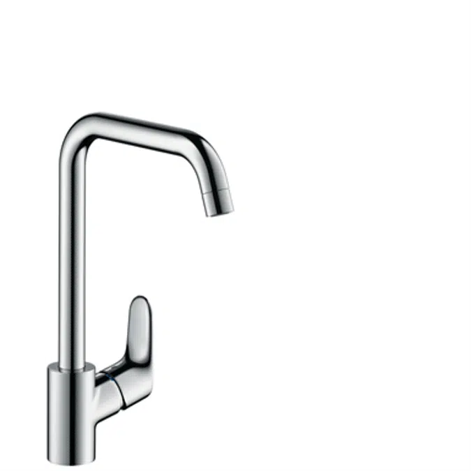 Focus Single lever kitchen mixer 260 with swivel spout