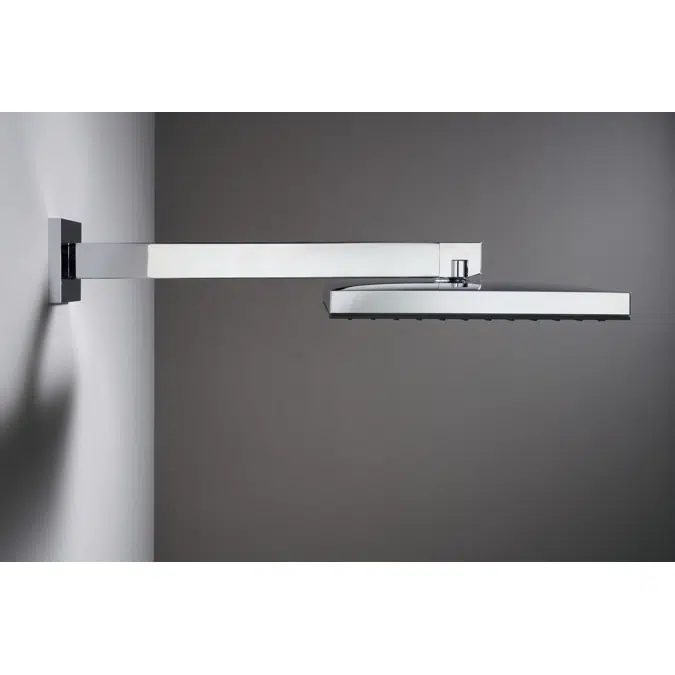 24337XXX Shower arm E 39 cm