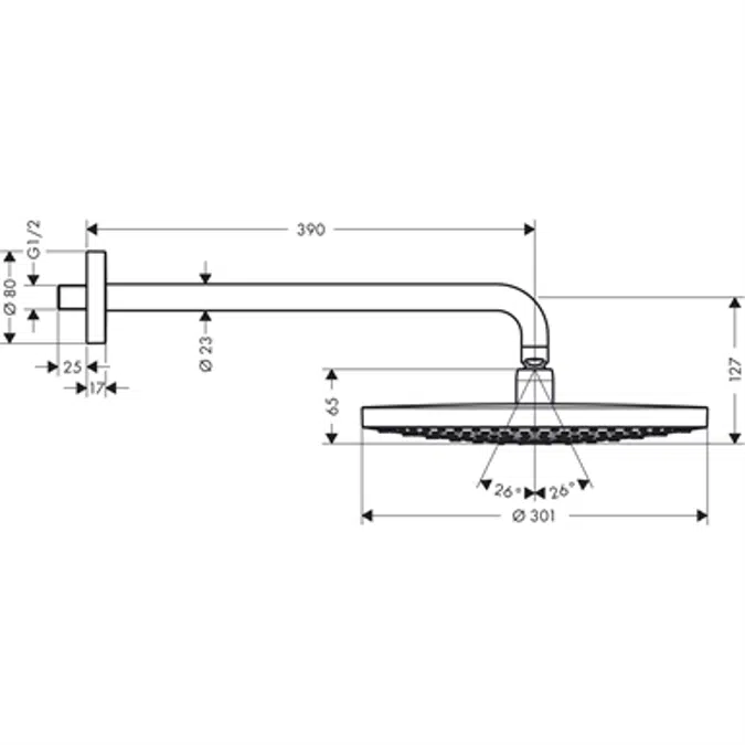 Raindance Select S Overhead shower 300 2jet with shower arm