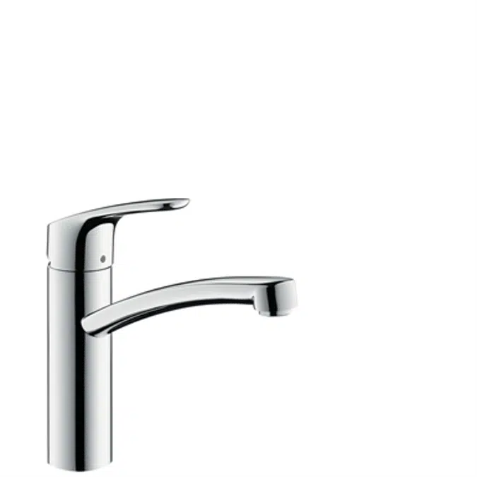 Focus Single lever kitchen mixer 160