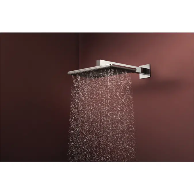 24530XXX Raindance Alive Q Overhead shower 210/340 1jet