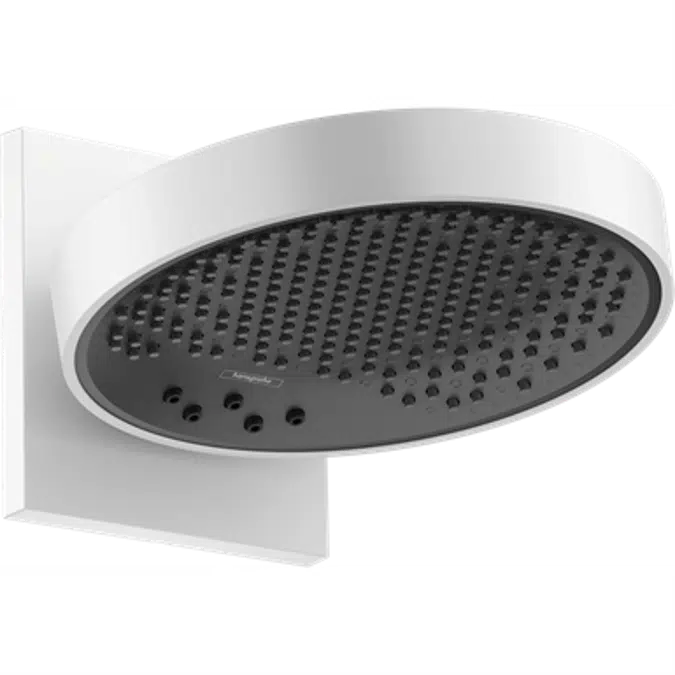 Rainfinity Overhead shower 250 3jet EcoSmart 9 l/min with wall connector