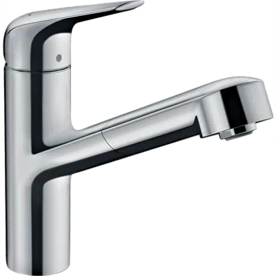 Image for Single lever kitchen mixer with pull-out spout