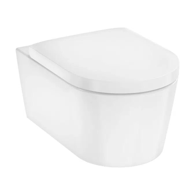 EluPura S Wall hung WC Set 540 rimless with WC seat and cover with SoftClose and QuickRelease, HygieneEffect