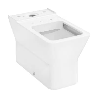 Image pour 60137XXX EluPura Original Q Floorstanding WC close coupled  back to wall with horizontal/vertical outlet,  AquaChannel Flush
