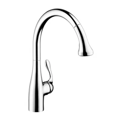 изображение для Allegro E Gourmet Single lever kitchen mixer 250 with pull-out spray 06460000