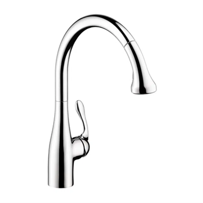 Allegro E Gourmet Single lever kitchen mixer 250 with pull-out spray 06460000