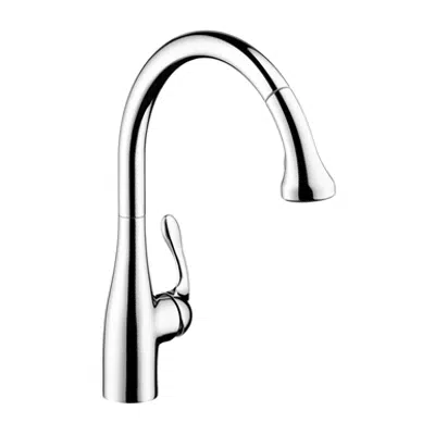 Allegro E Gourmet Single lever kitchen mixer 250 with pull-out spray 06460000