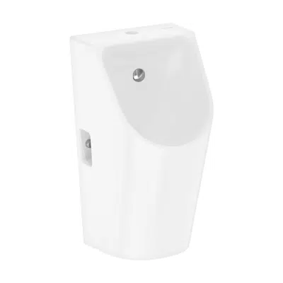 imagen para 60287XXX EluPura Original S Urinal with top water supply and bottom/rear outlet rimless