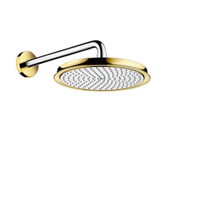 Raindance Classic Overhead shower 240 1jet with shower arm