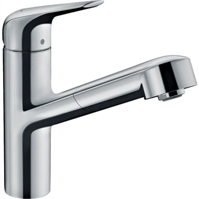 Single lever kitchen mixer with pull-out spout