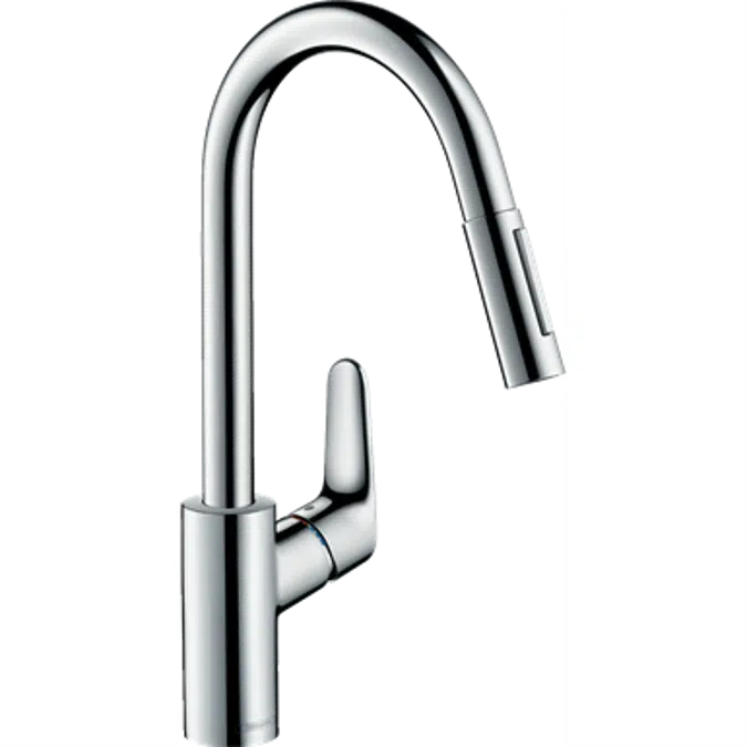 Focus Single lever kitchen mixer 240 with pull-out spray