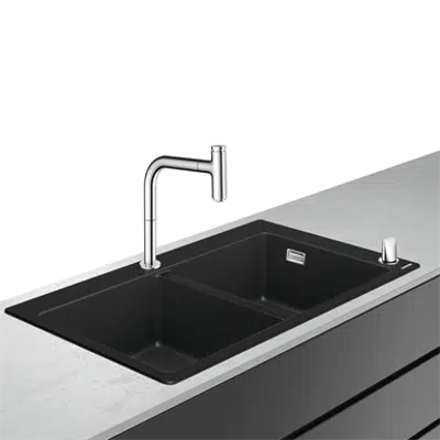 Immagine per Sink combi 370/370