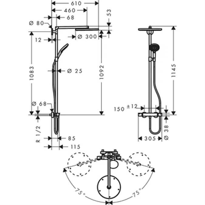 Raindance S Showerpipe 300 1jet with thermostat