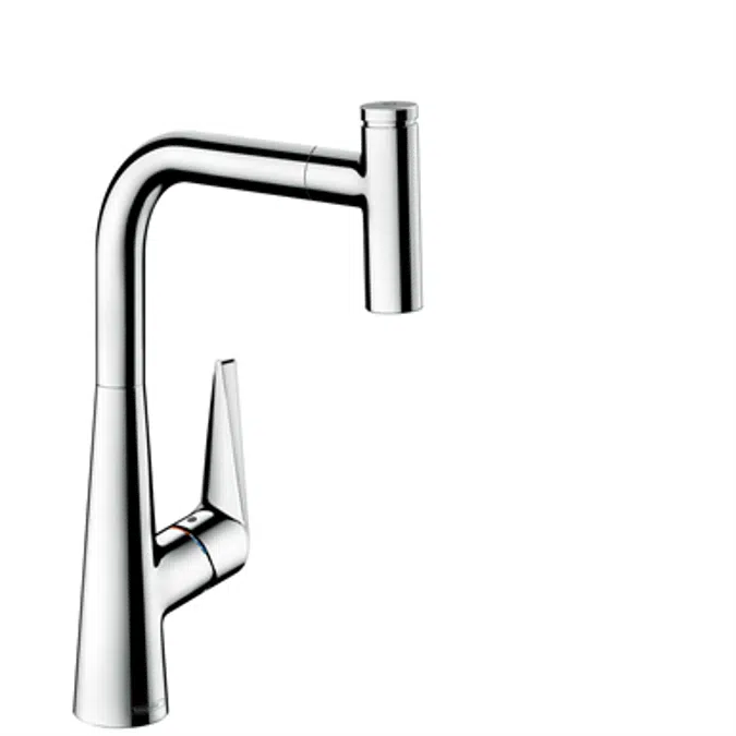 Single lever kitchen mixer with pull-out spout
