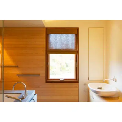 Immagine per Awning Window