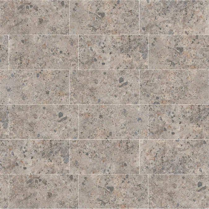 BRECCIA 60X120 CARSICA THINR
