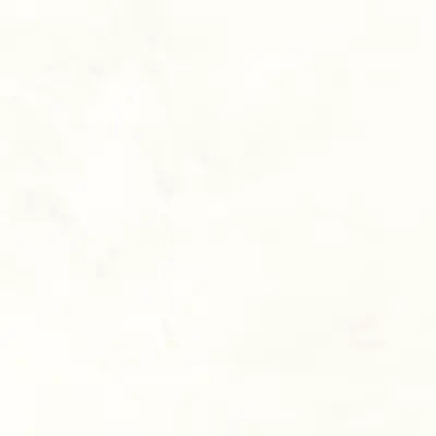 Image for SIENA 60X120 BLANCO THINR