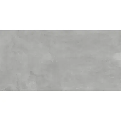 Obrázek pro CONCEPT 60X120 GRIS CLARO THINR