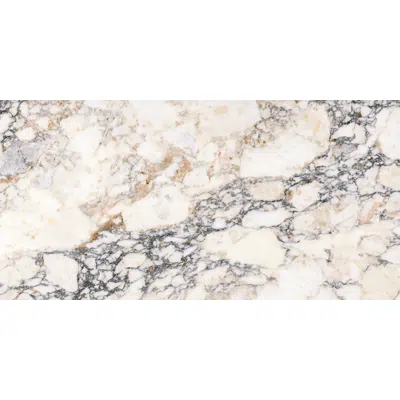 Obrázek pro CALACATTA 60X120 OSSIDO THINR