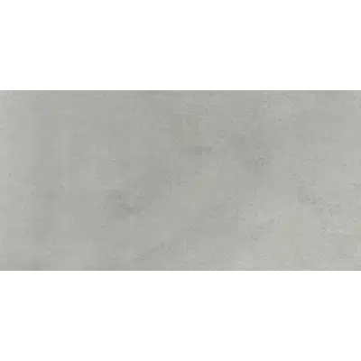 Image for CONTEMPO 30X60 LIGHT GRAY THIN
